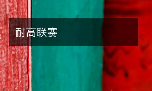 耐高聯賽